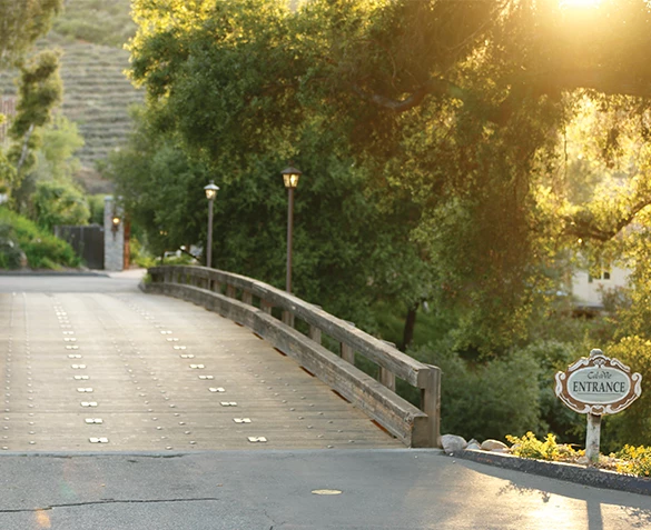 Cal-a-Vie entrance bridge